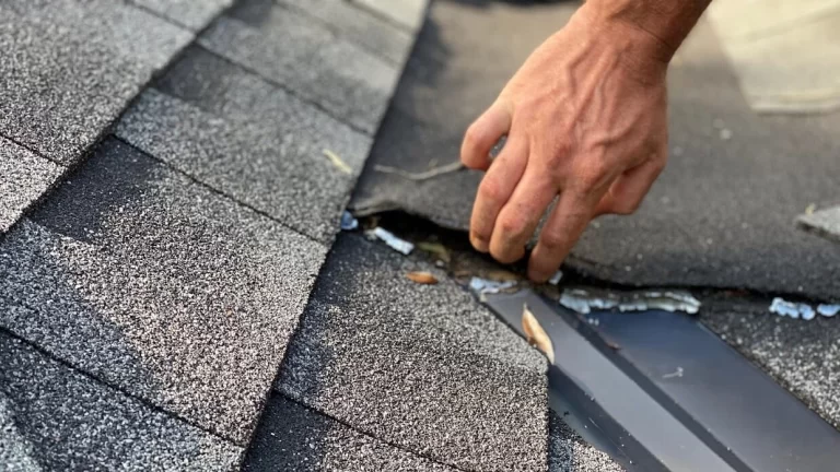 DIY Roof Inspection Maintenance in Orange County